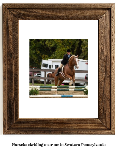 horseback riding near me in Swatara, Pennsylvania